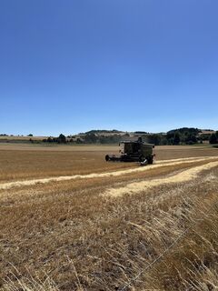 Fotografia z Nicolas Hervé na trase