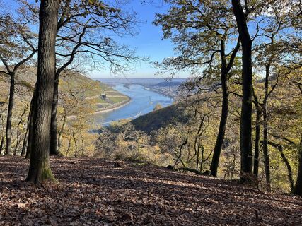 Fotografie de la Andreas Stopperich de-a lungul turului