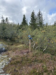 Foto fra Jako Koel undervejs på turen