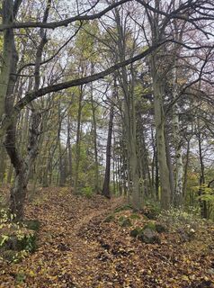 Photo de Viktoria Feigl le long du parcours