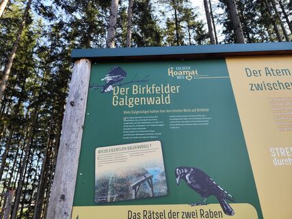 Fotografia z Barbara Galle na trase