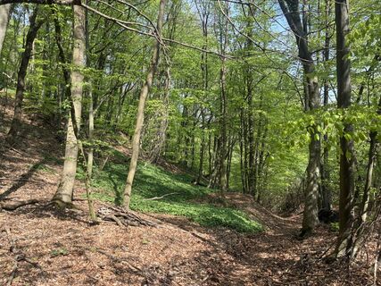 Fotografie z Martin1967 na trase