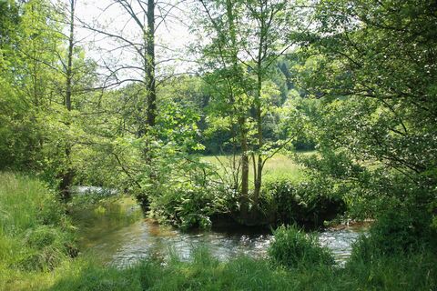Steinach, Wegstrecke zwischen Schönau und Heiligkreuzsteinach