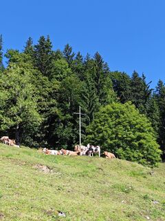 Foto von Sandra Torniati entlang der Tour