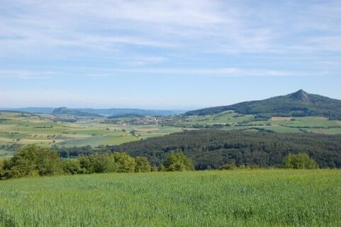 Hegauberge im Sommer