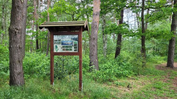 Schnakenpohl 