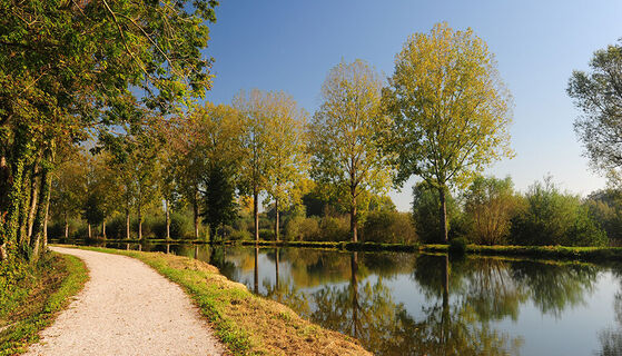 Nesle_CanalNordetsomme