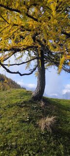 Photo de Klavdij Hrovat le long du parcours