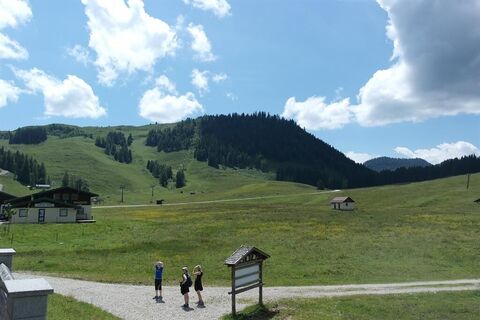 Alm mit Lift 4