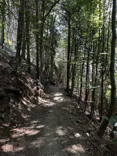 Fotografia z Alberto Ghiretti na trase