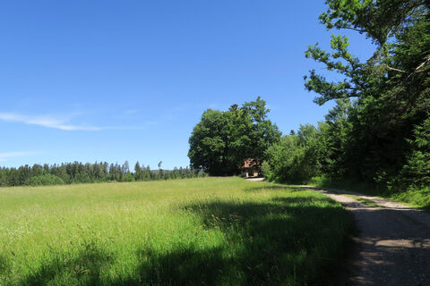 Zemljevid