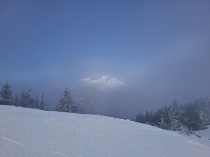 Fotografija s spletne strani Helmut Köck 1 na poti