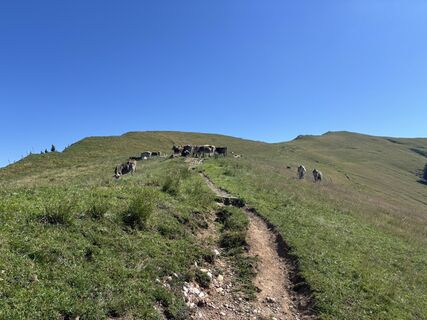 Foto von Mathias entlang der Tour