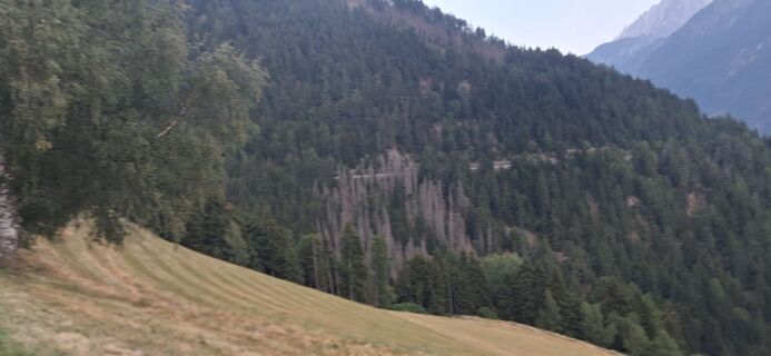Foto von Helmut ingelsberger entlang der Tour
