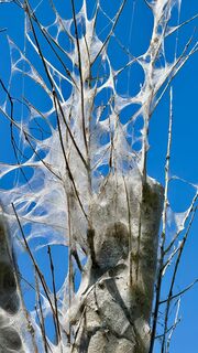 Fotografie z Stephan na trase