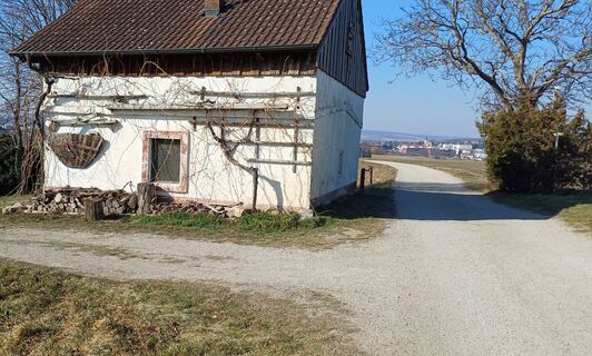 Zdjęcie z Ewald Reil 1 wzdłuż trasy