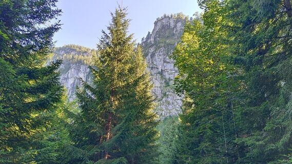 Photo de Róbert Balogh le long du parcours