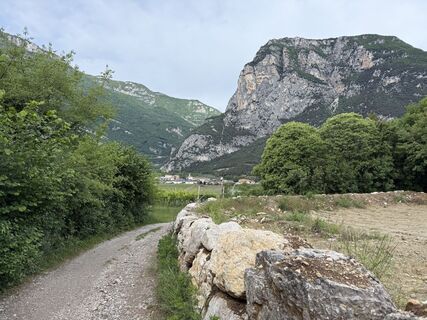 Photo de Herbert Angerer le long du parcours