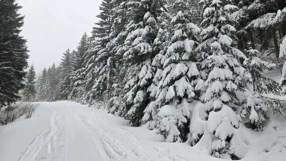 Photo de meteomodel le long du parcours
