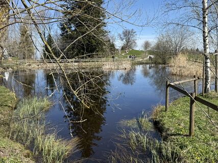 Fotografija s spletne strani Babajo na poti