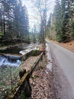 Photo de Daniel Kremiec le long du parcours