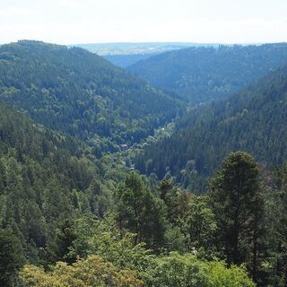 Aussicht vom Bergfried