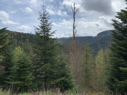 Foto da Kristina  1 lungo il tour