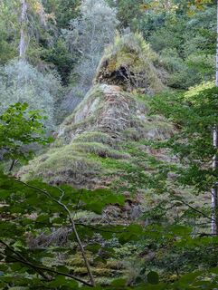 Photo de WolBo le long du parcours