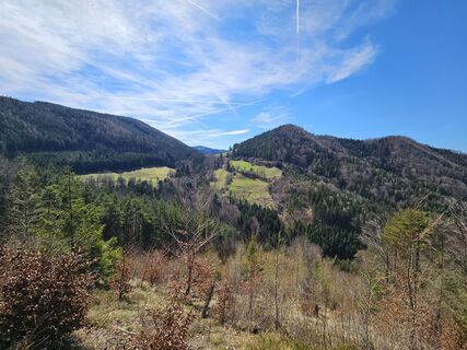 Foto de ElkeA a lo largo del recorrido