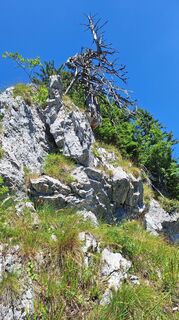 Zdjęcie z RobuC wzdłuż trasy