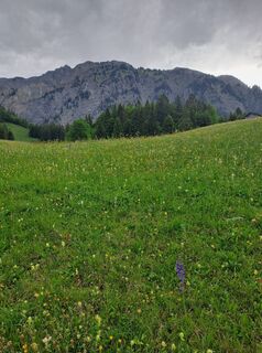 Fotografia z Greg+Lisa na trase