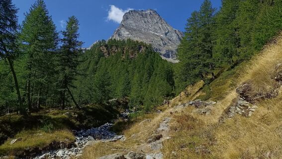Zdjęcie z Maurizio Dell'acqua wzdłuż trasy