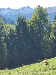 Foto von Stefan Heinzelmann entlang der Tour