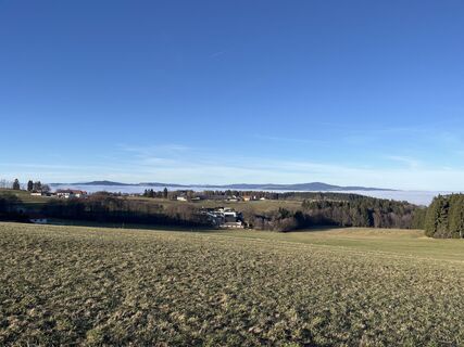 Photo de Alfred Weber le long du parcours