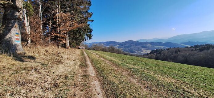 Zdjęcie z Manuela bischof wzdłuż trasy