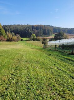 Photo de Franz Bauer 9 le long du parcours