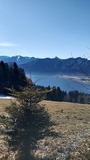 Photo de Pur Alexander le long du parcours