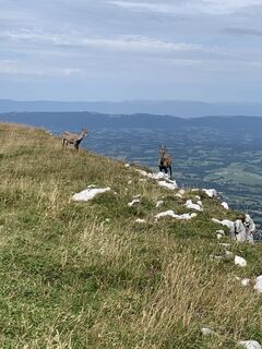 Photo de julien moreno le long du parcours