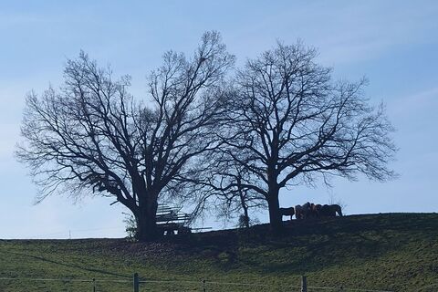 Foto de Guenther Hahn a lo largo del recorrido