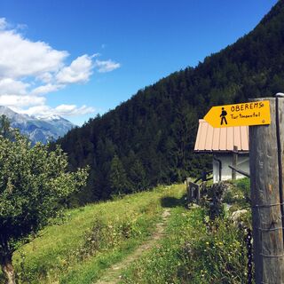 Wanderweg mit Blick Richtung Oberwallis