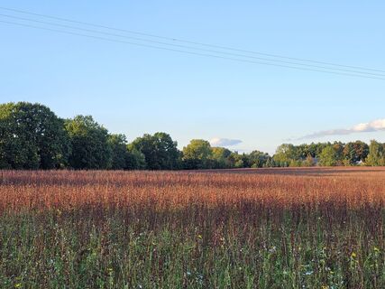Fotó a Bernd Klose honlapról a túra során