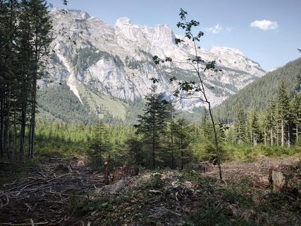 Fotografija s spletne strani Wolfgang Steiner 7 na poti