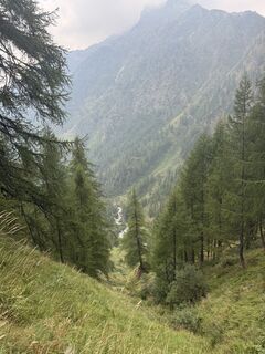 Photo de Robin Gerrets le long du parcours