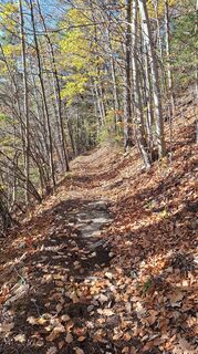 Fotografia z Aga M na trase