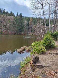 Foto da Dagmar Hofer lungo il tour