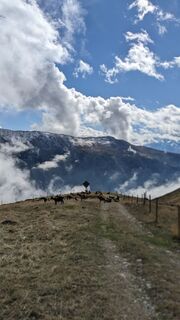 Fotografija s spletne strani Martin Glaser na poti