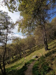 Zdjęcie z Aner wzdłuż trasy