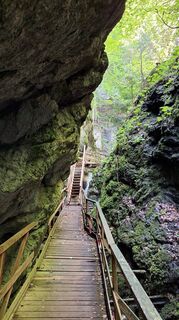Foto de Peter Luger a lo largo del recorrido