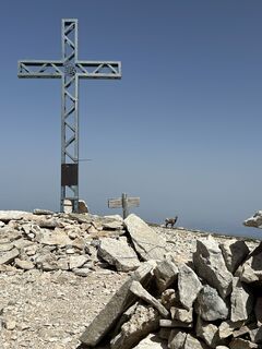 Fotografie z pasqualino litterio na trase