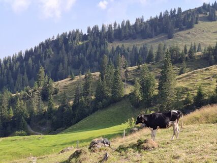 Photo de Michael Putz le long du parcours